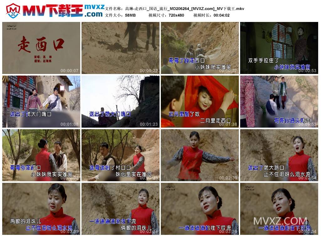 高琳-走西口_国语_流行_MD206264